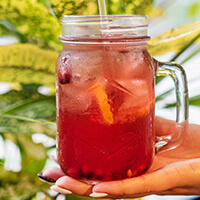Rooibos Vanille Glacé