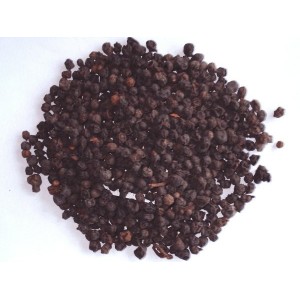 la baie aux 5 saveurs