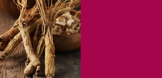 Plantes chinoises et ayurvédiques