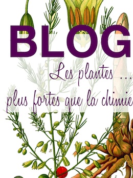 Blog Herboristerie