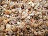 Poudres - Encens r�sine poudre 100g