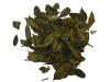 Plantes B - Buis BIO feuille 50g