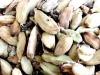 Cardamome fruit 50g