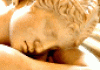 Colis Equilibre du Sommeil