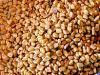 Plantes F - Fenugrec graine 1Kg