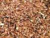 Plantes L - Lin graine enti�re 1Kg