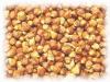 Plantes M - Maniguette fruit 50g