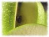 Compos�es - Tisane parfum�e Doux r�ves 100g
