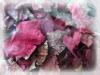 Plantes V - Vigne rouge BIO feuille 50g